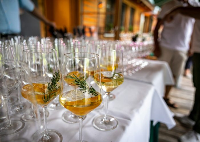 stefan-schauberger-j1xsz3qQip8-unsplash